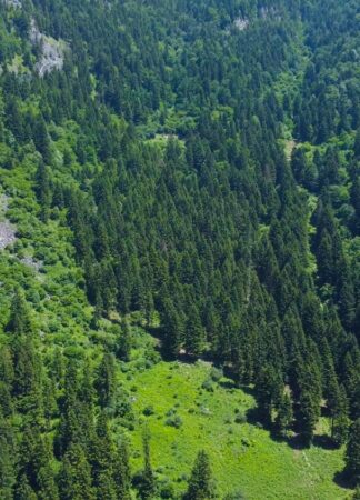 Pazarcık Mountain Hotel - Trabzon Dağ Oteli